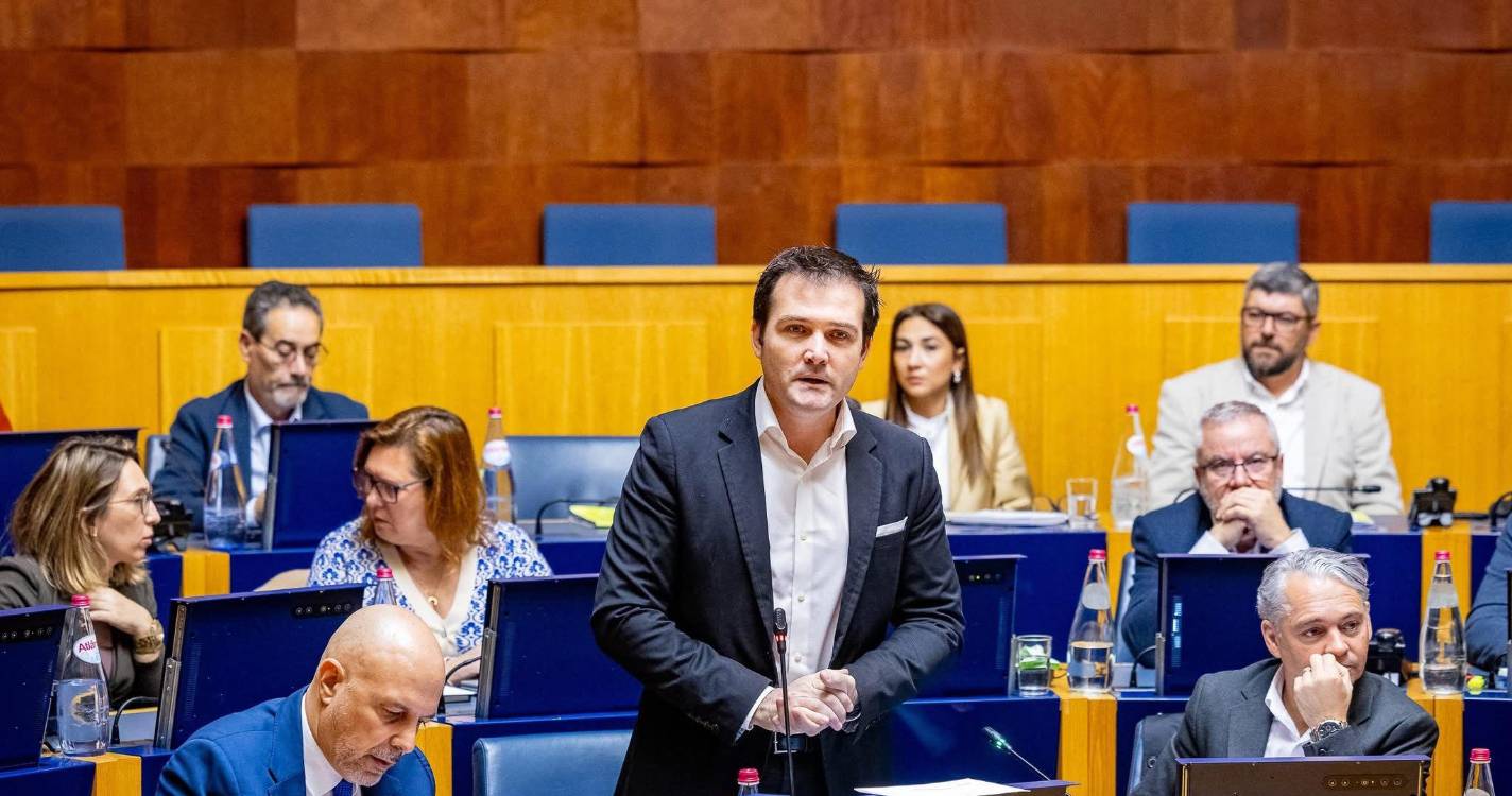 “Os concelhos estão a perder área agrícola de ano para ano”