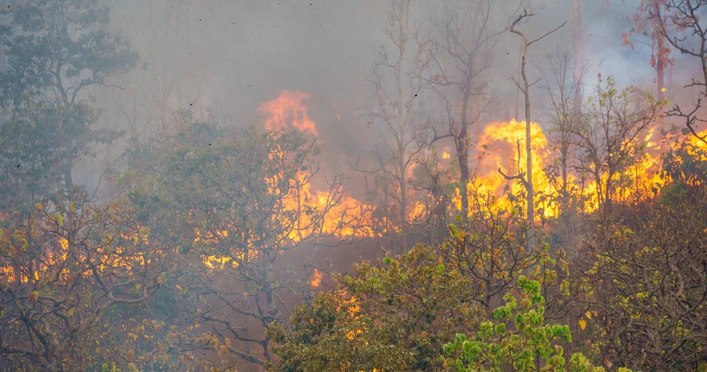 Vinte e seis concelhos de nove distritos do país em perigo máximo de incêndio
