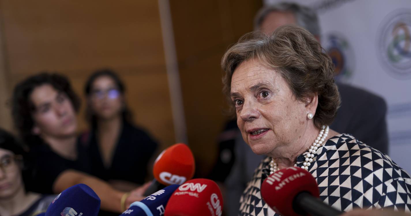 Incêndios: Ministra diz que é irrelevante número de meios aéreos para combater fogos