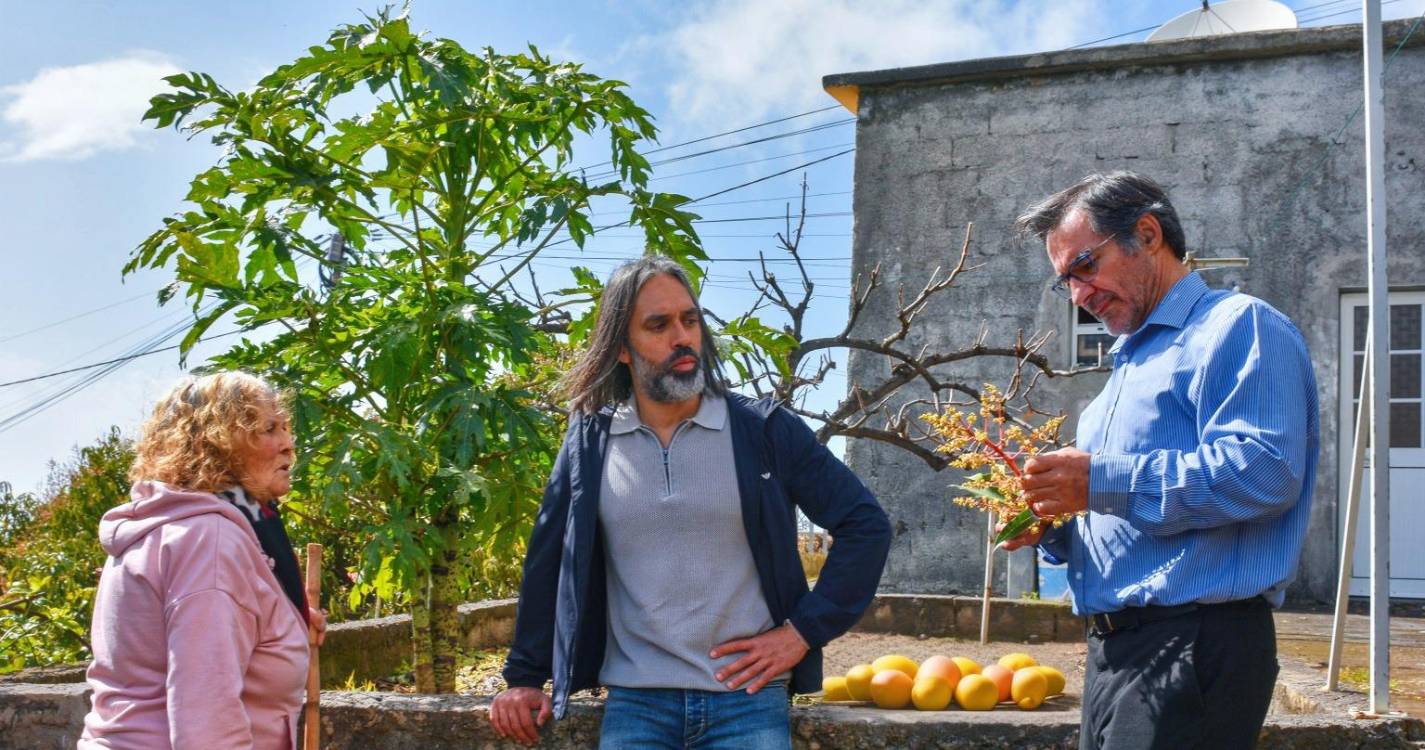 Mango com mais produção e mais rendimento