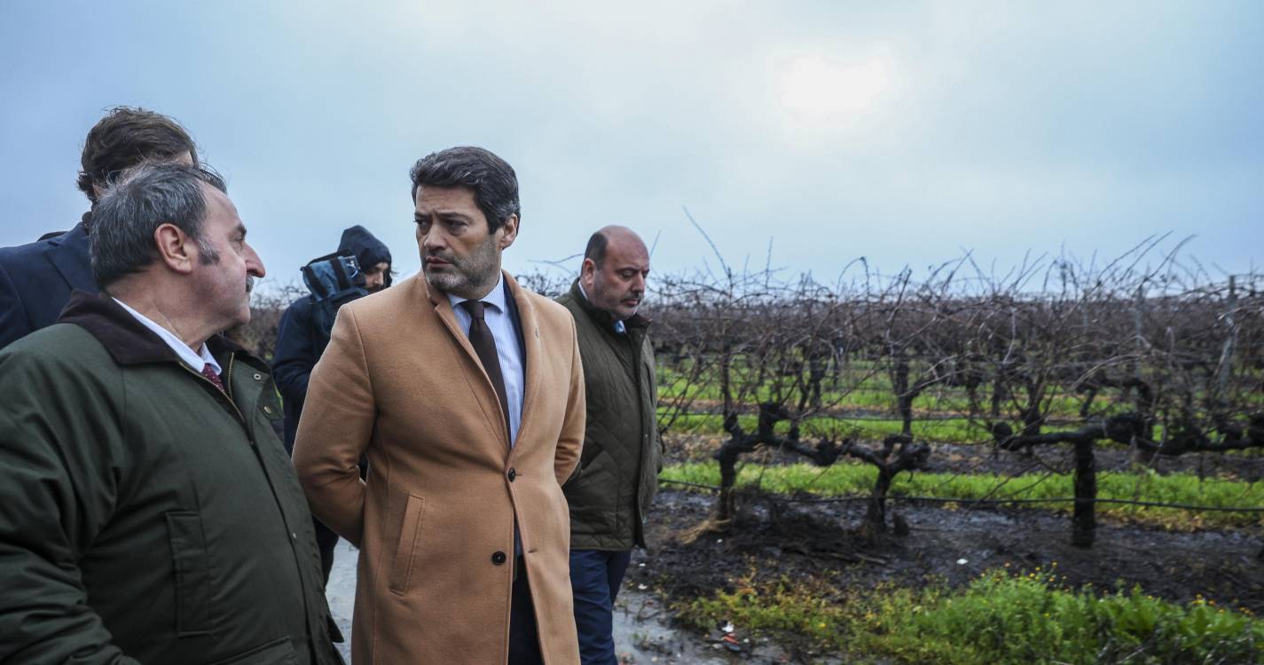 Presidenciais: André Ventura defende adiamento das eleições por uma semana