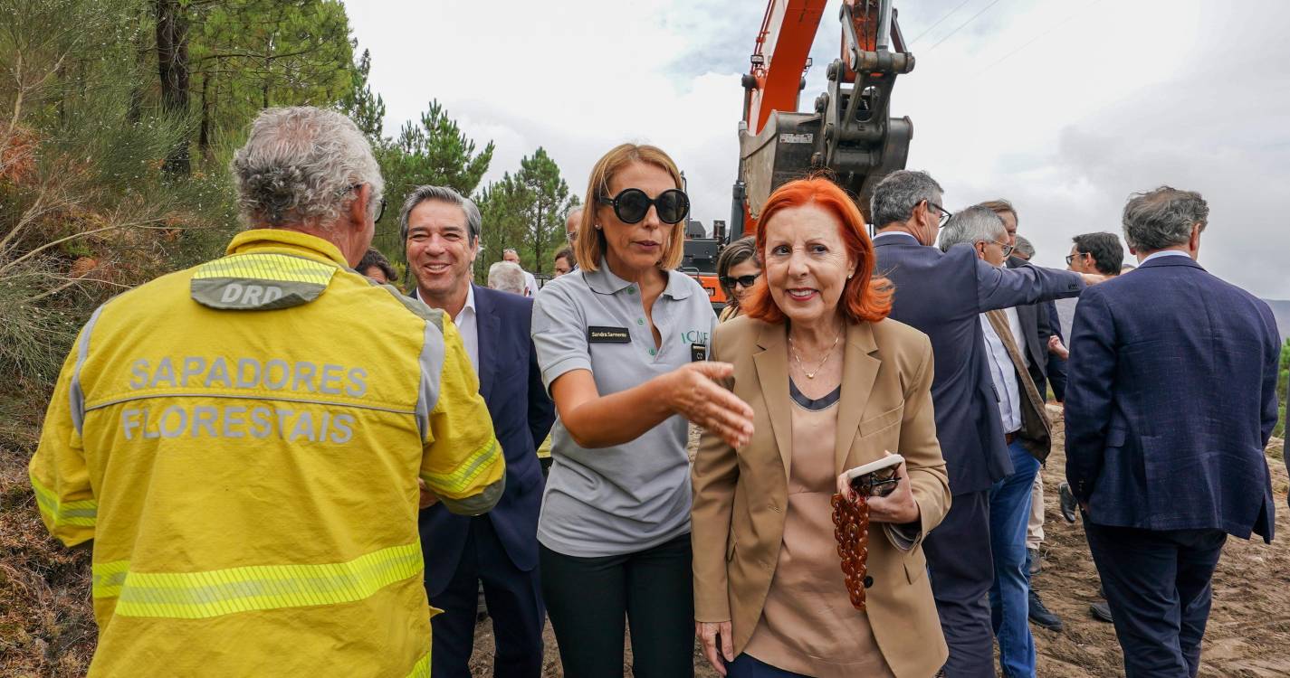 Incêndios: Fogo do Douro Internacional é uma catástrofe natural e ambiental diz o Governo