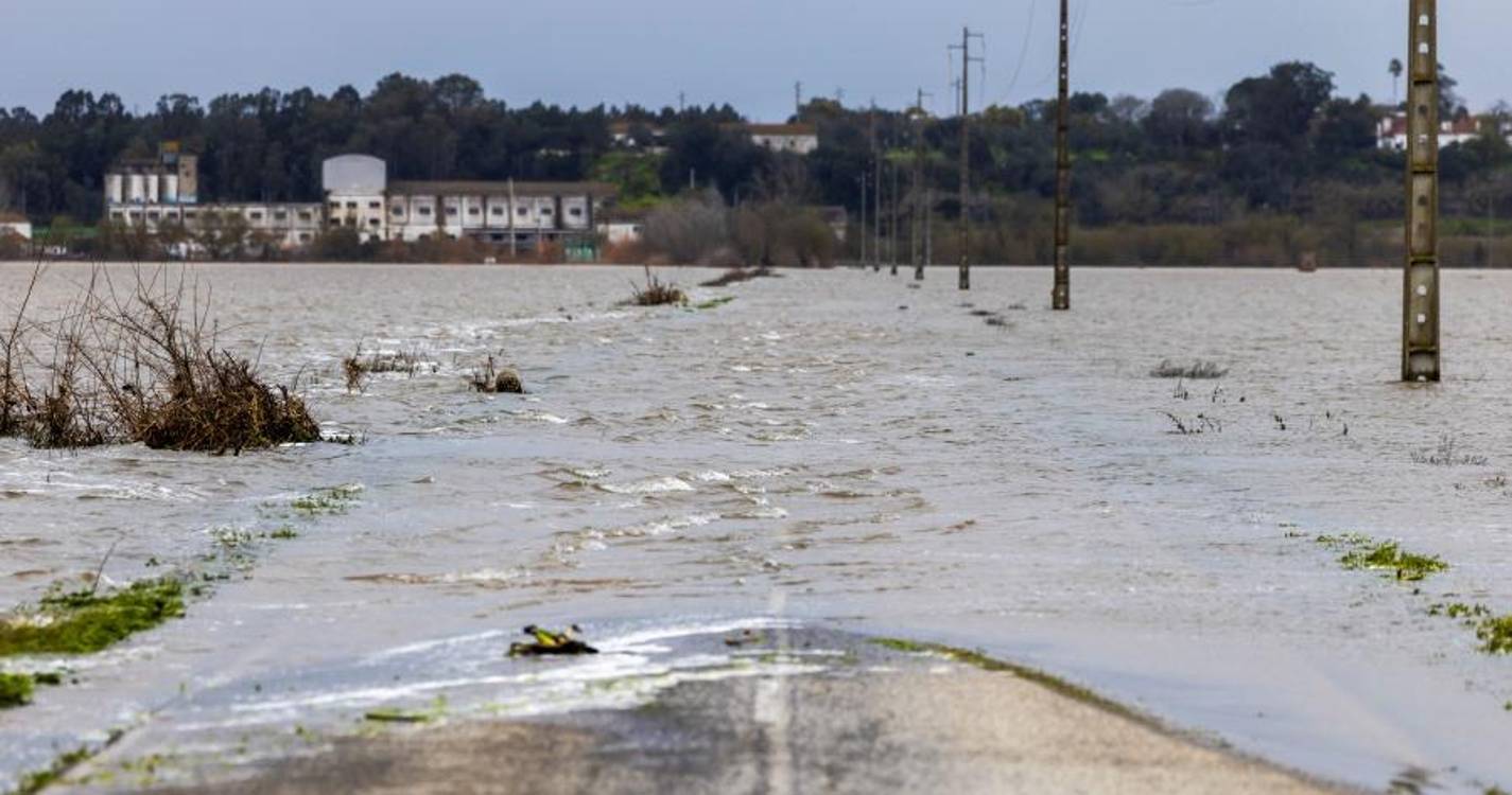 Tejo mantém alerta vermelho por subida de caudais com chuva a provocar aluimentos