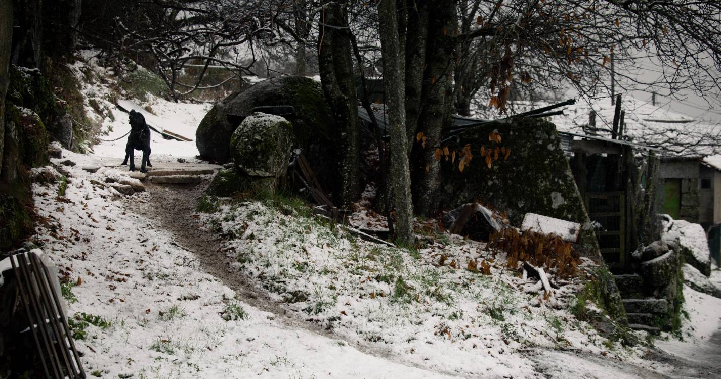 Mau tempo: APA alerta para possibilidade de cheias urbanas