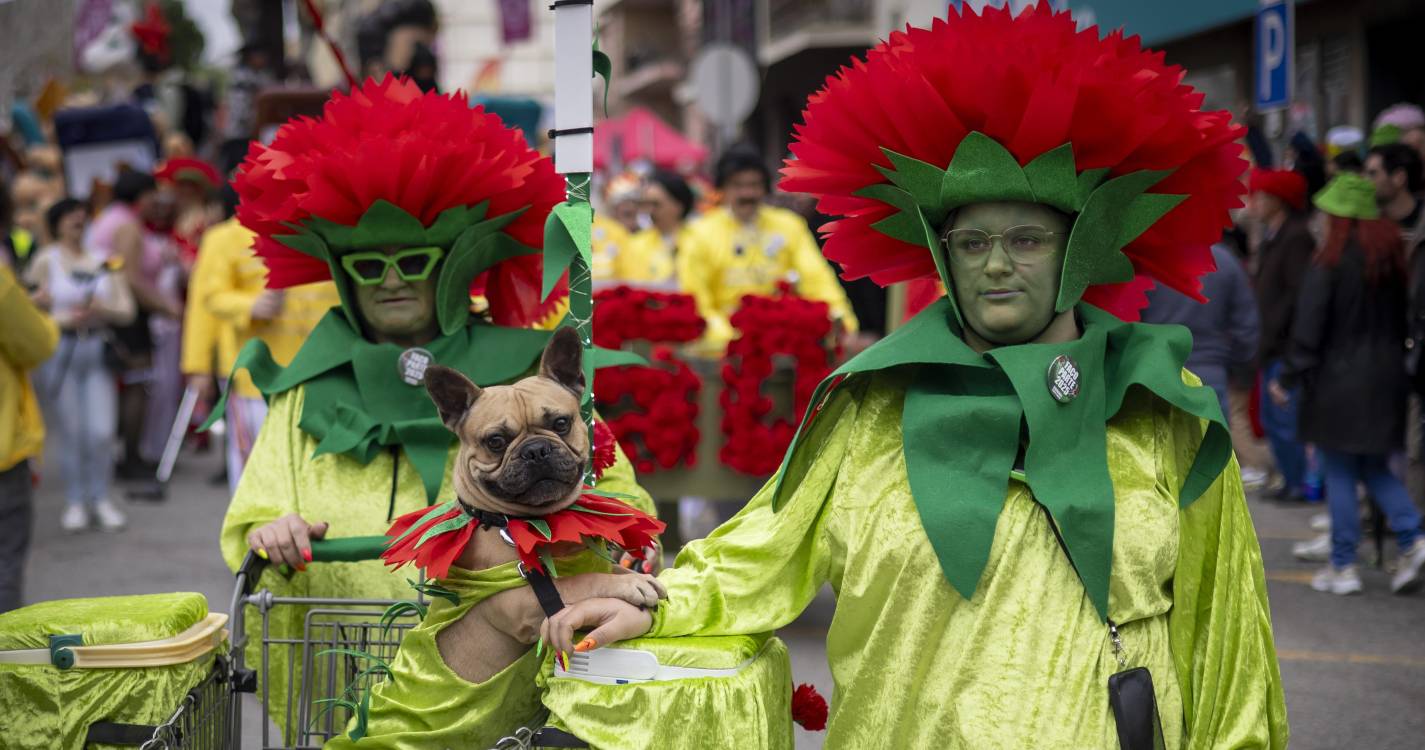 Milhares de mascarados divertem-se no Carnaval de Torres Vedras (com fotos)