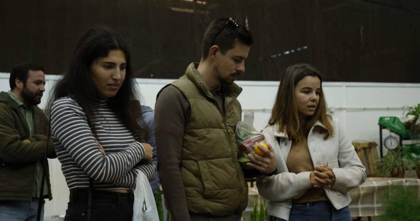 PAN Madeira defende mais aposta na sustentabilidade e no produto regional