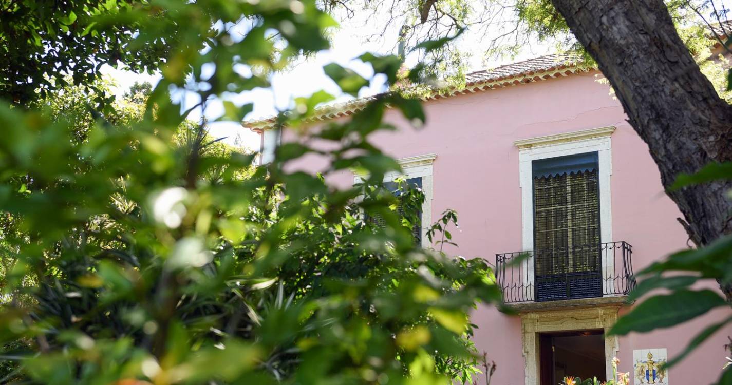 Emigrantes cumprimentam Albuquerque