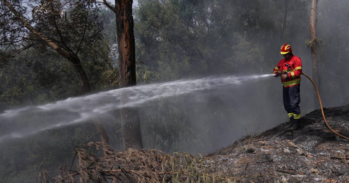 Detida idosa suspeita de atear pelo menos um fogo no Ameixial em Loulé