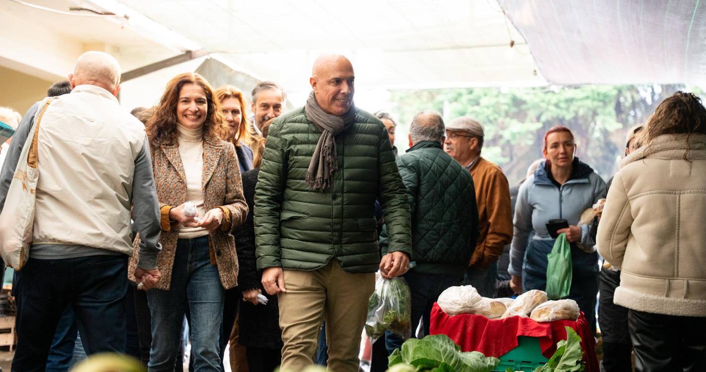 Governo dá machadada na agricultura regional ao cortar o valor do ‘parcelar’ de 400 para 100 euros, denuncia o PS