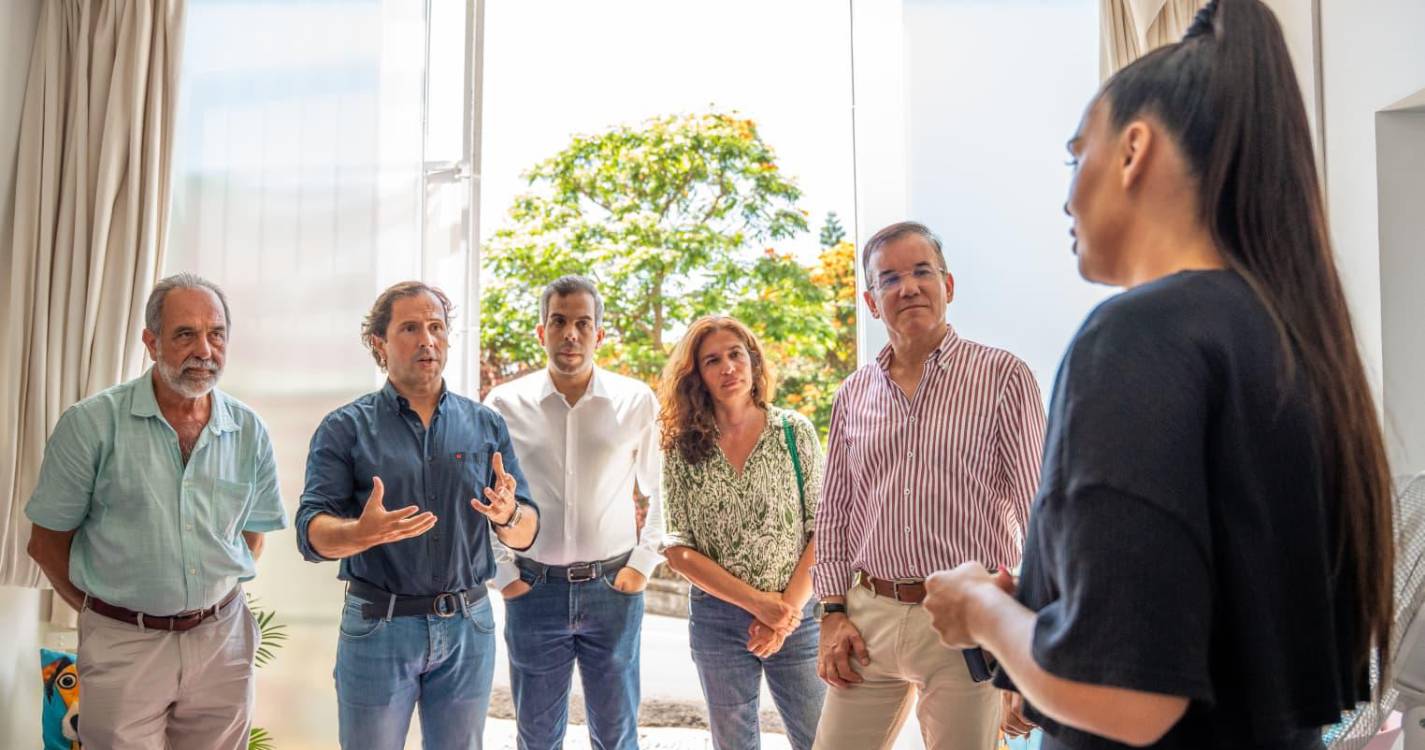 PS defende crematório público e cemitério municipal para animais de companhia no Funchal