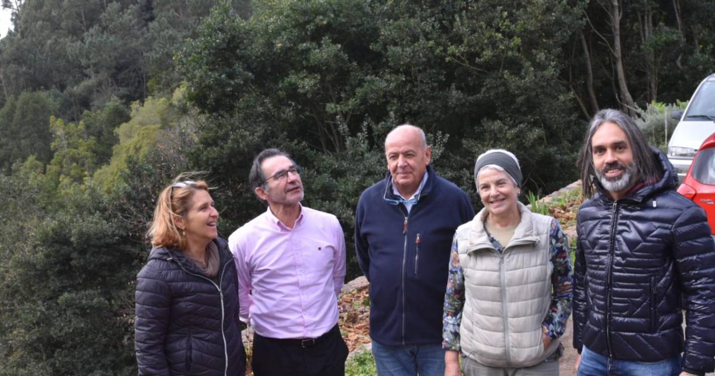 Marco Caldeira defende que investimento agrícola salvaguarda património histórico