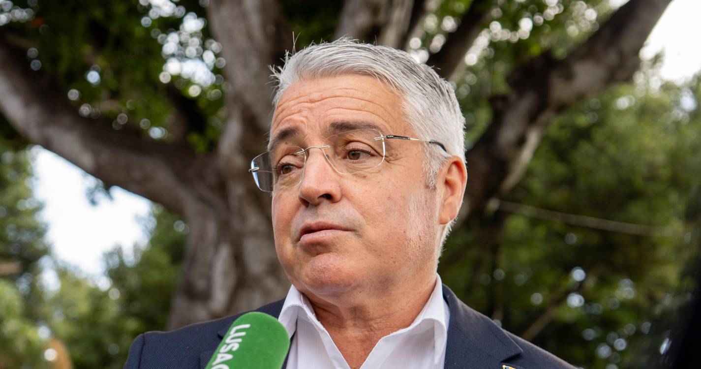 Fogos florestais: Filipe Sousa exige ação concreta