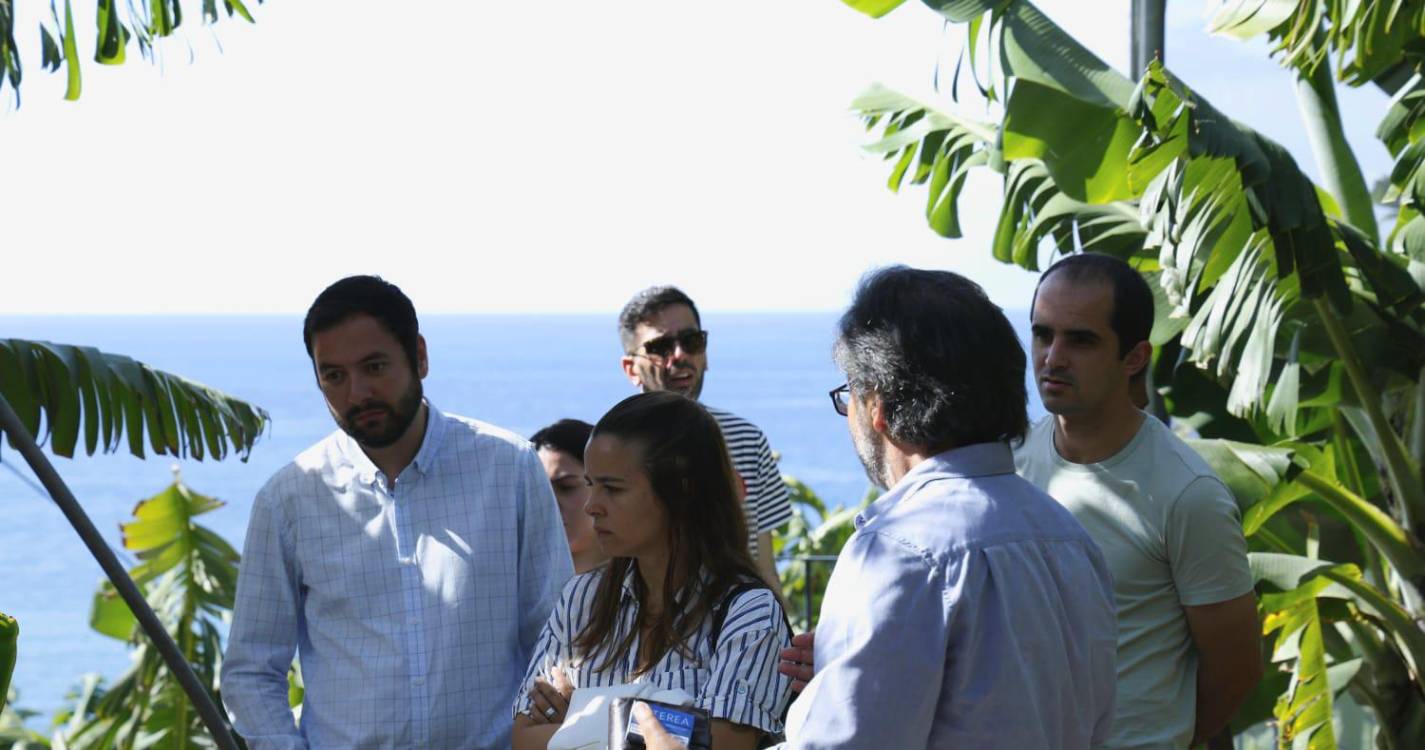 PAN alerta para a urgência de modernização do setor da banana