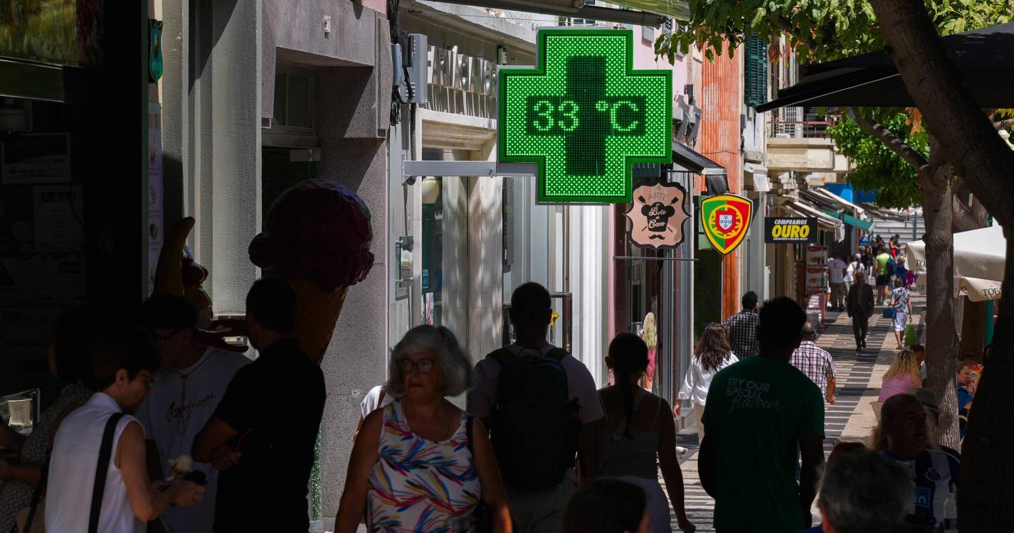 Produtividade desce 2% a 3% por cada grau acima dos 20°C, aponta relatório