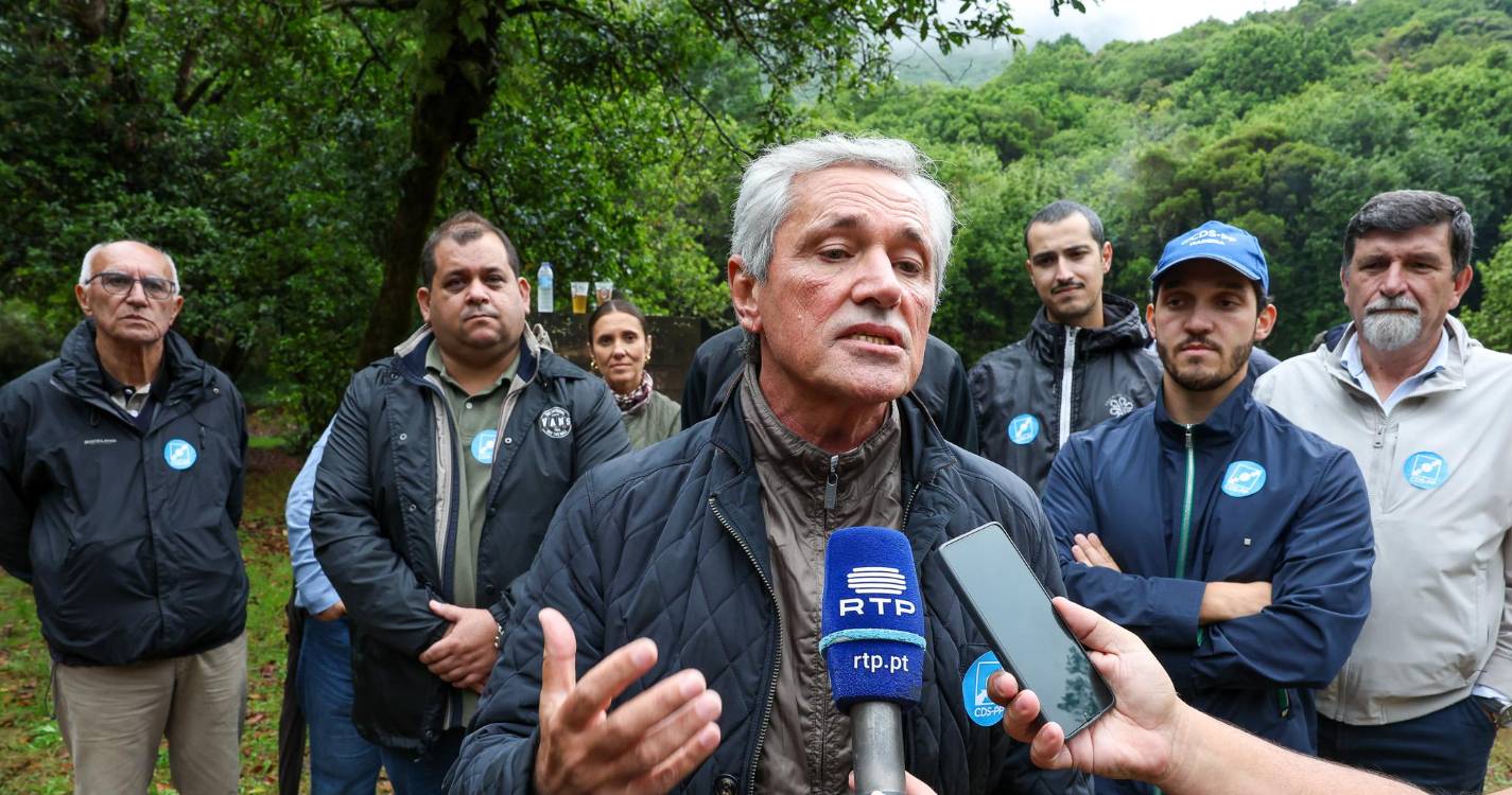 CDS defende descida de impostos e valorização dos salários