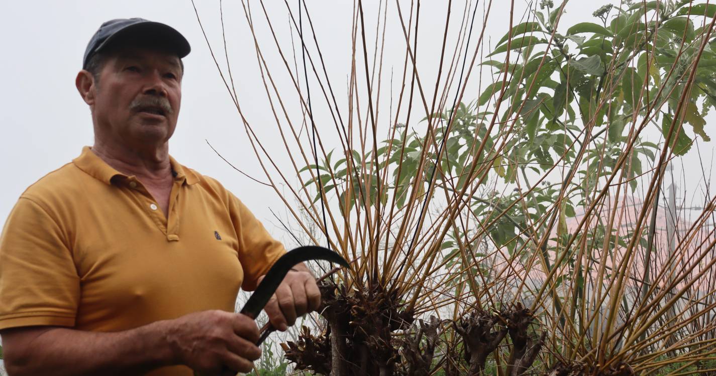 “Semana do Artesão” termina com mesa-redonda e homenagem a três artesãos