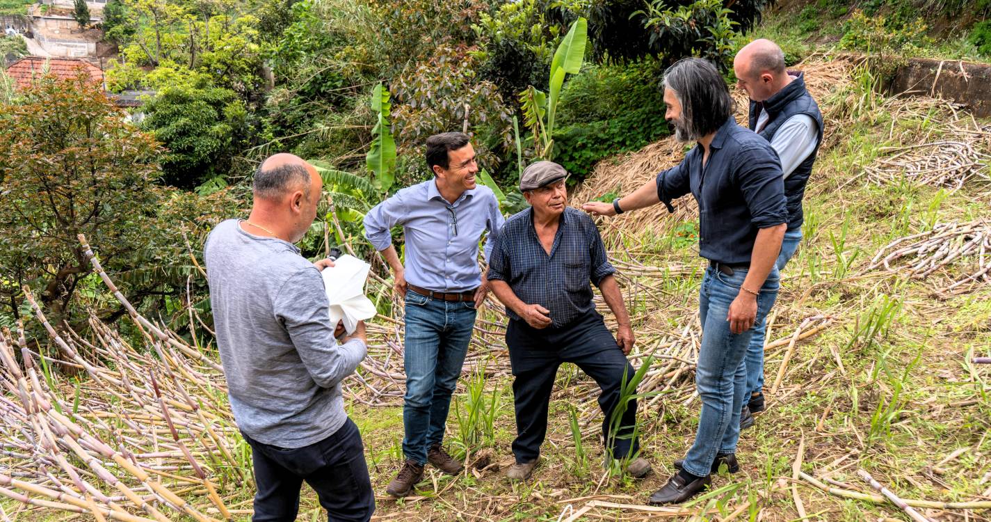 Governo Regional paga mais 500 mil euros no âmbito do ‘Prémio ao Agricultor’