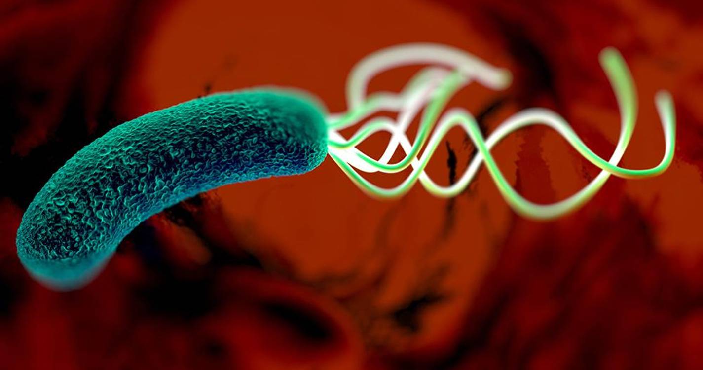 Rastreio de bactéria na origem de 80% dos cancros gástricos arranca nos Açores