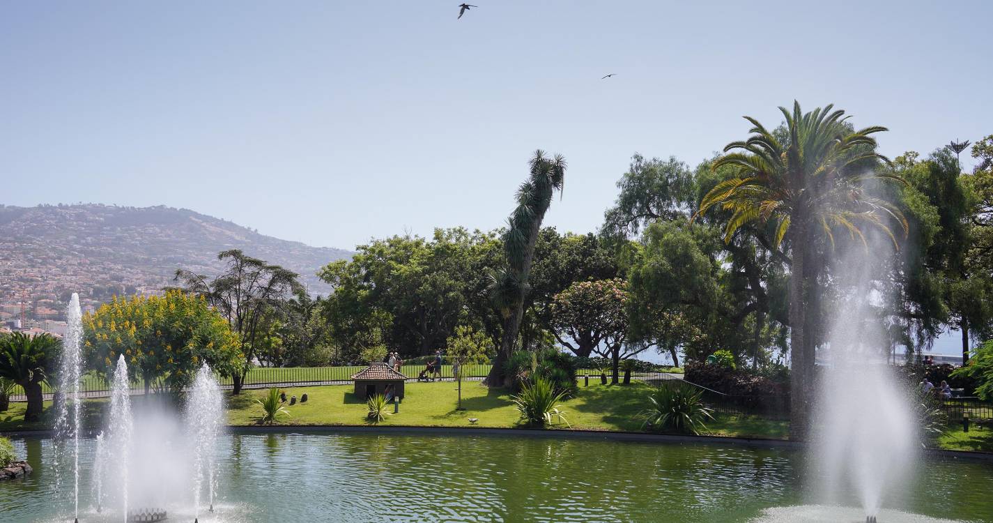Dois feridos no Funchal devido à depressão Martinho