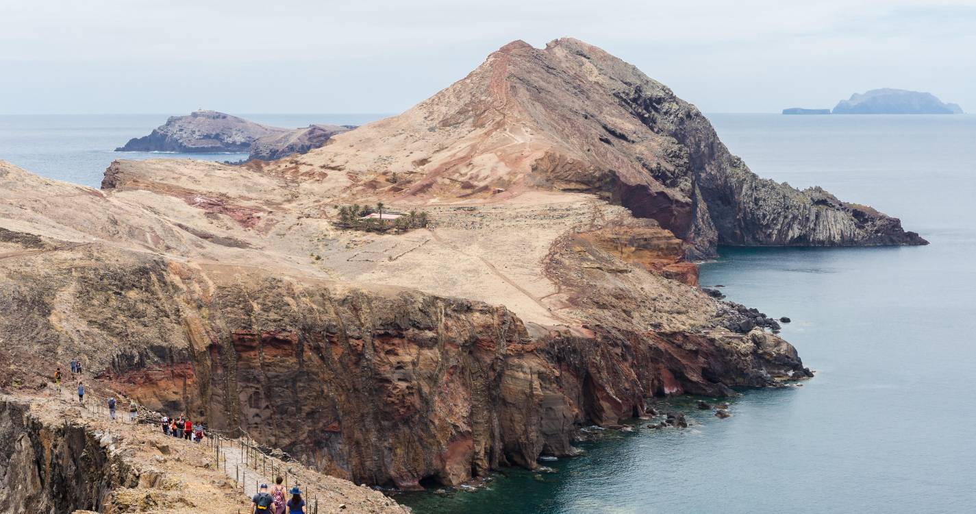 Dois gatos atirados ao mar na Ponta de São Lourenço