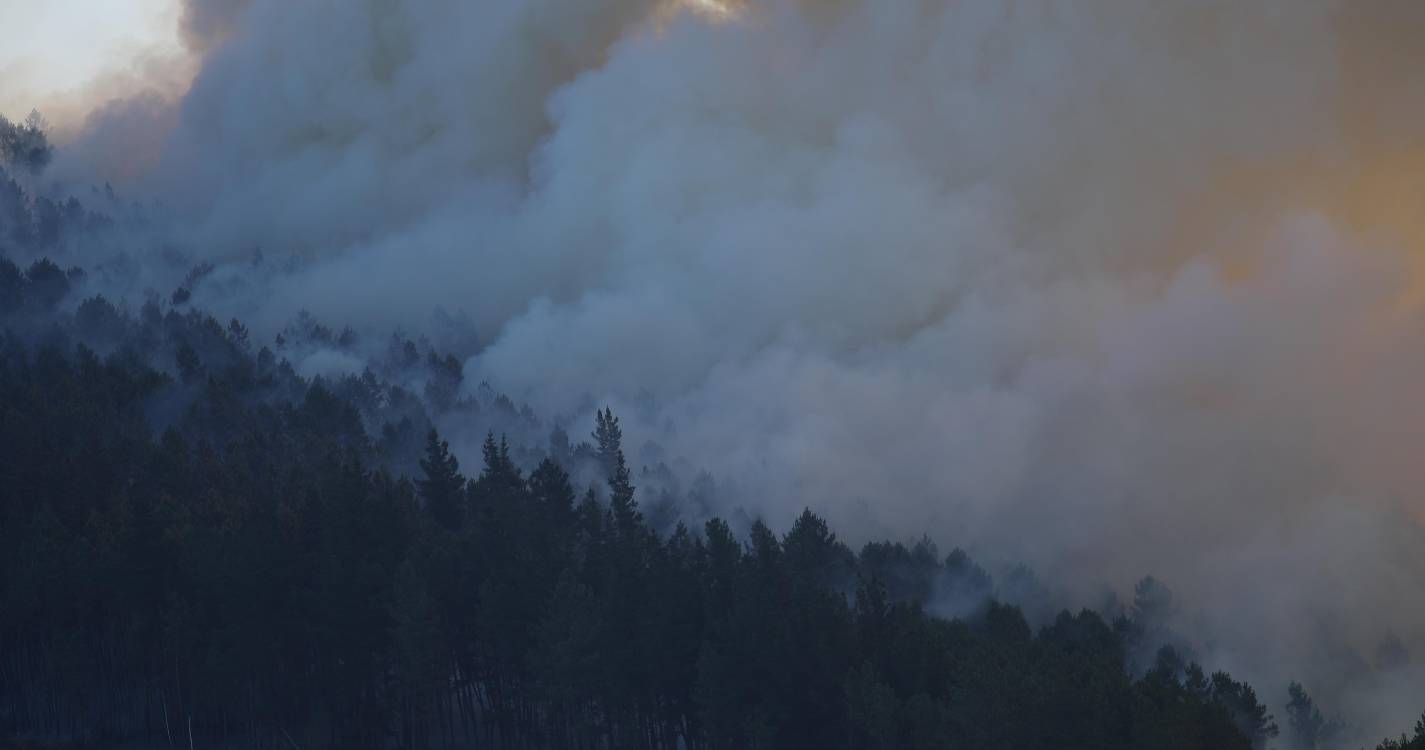 Incêndios: Espanha declara zona de catástrofe áreas afetadas por 113 grandes fogos