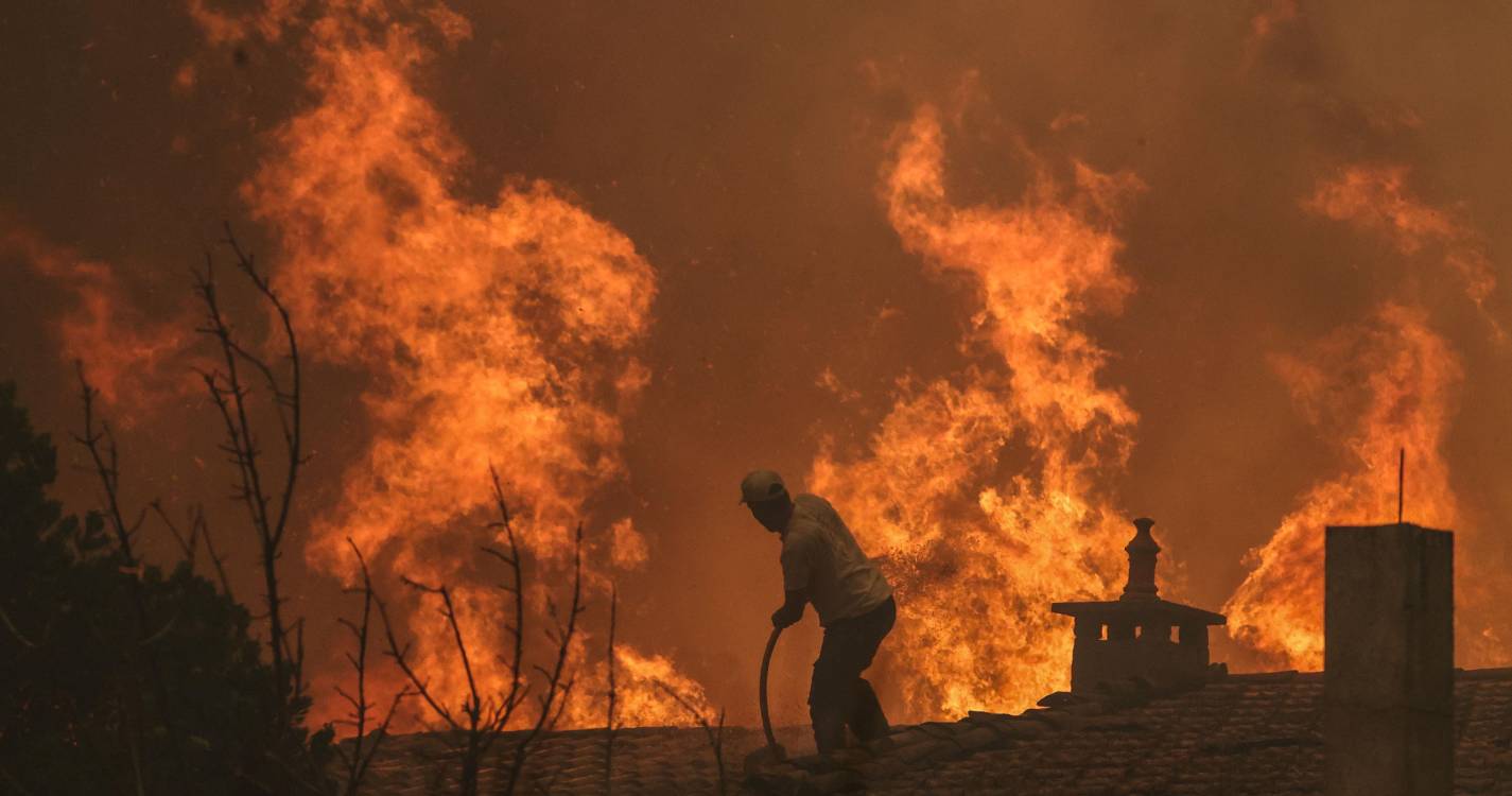 Incêndios: Diploma com apoios às populações e empresas afetadas pelos fogos entra hoje em vigor
