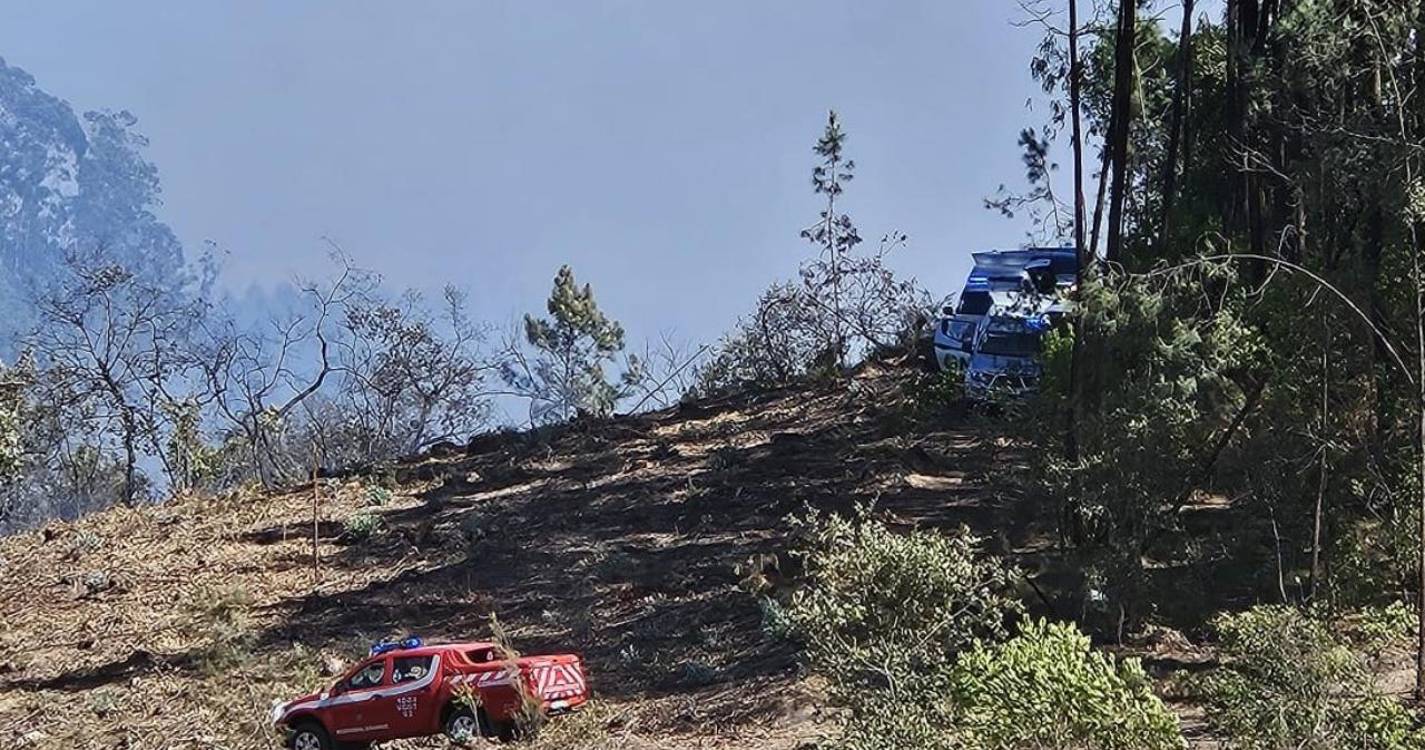 Beata de cigarro esteve na origem de incêndio de segunda-feira no concelho de Leiria