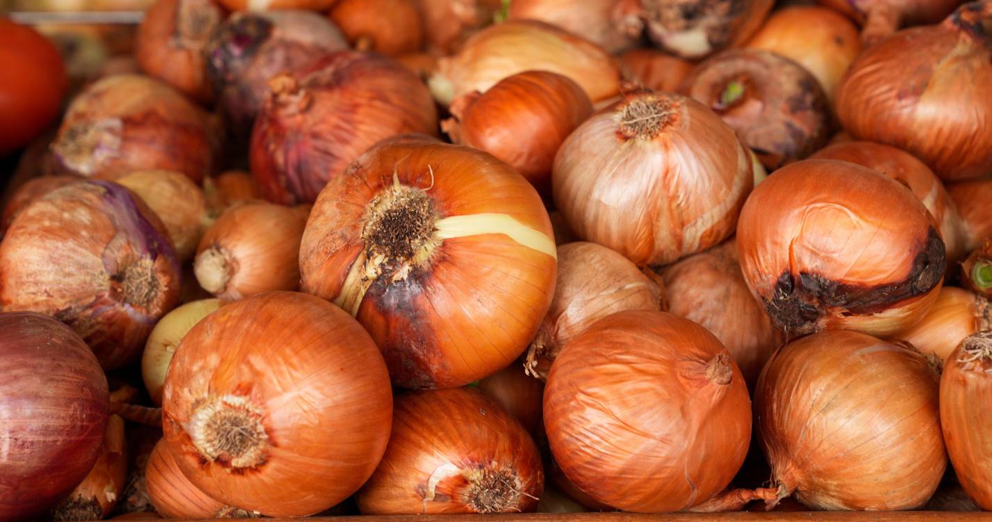 Consumidores pagam mais 13,31 euros pelos mesmos produtos face a mesmo período de 2024