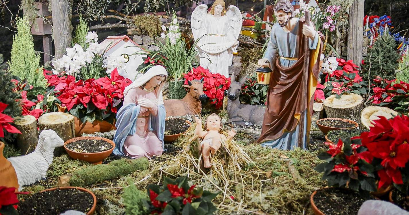 Presépio da Quinta Grande abençoado (com fotos)