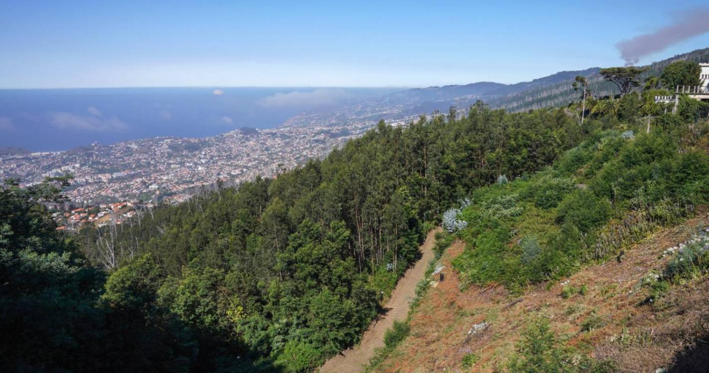 ORAM24: Esforço orçamental para matérias climáticas tem impacto de 459 milhões de euros