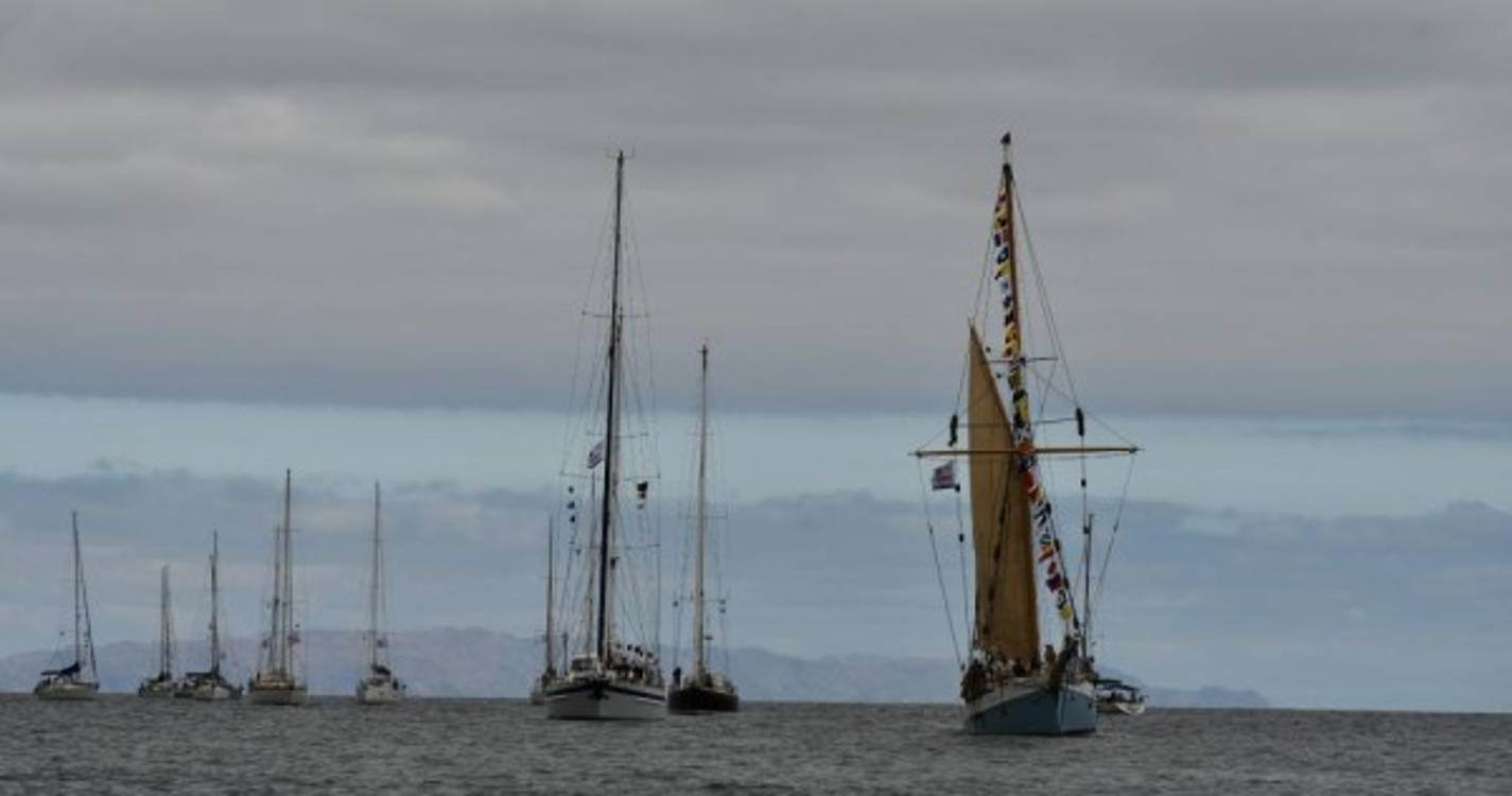 Parada náutica na Madeira juntou 27 embarcações (com fotos)