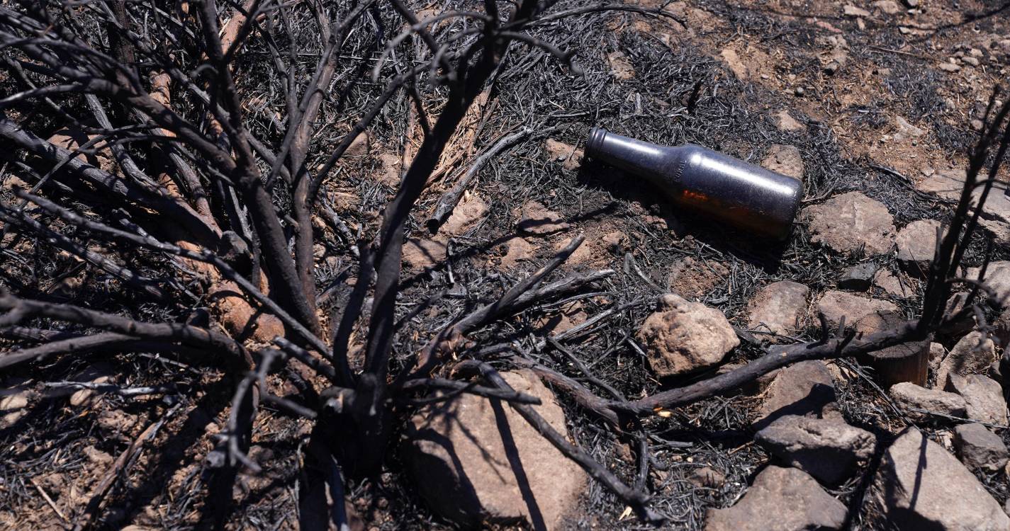 Incêndios: Dia de hoje foi o que teve mais fogos rurais em 2025