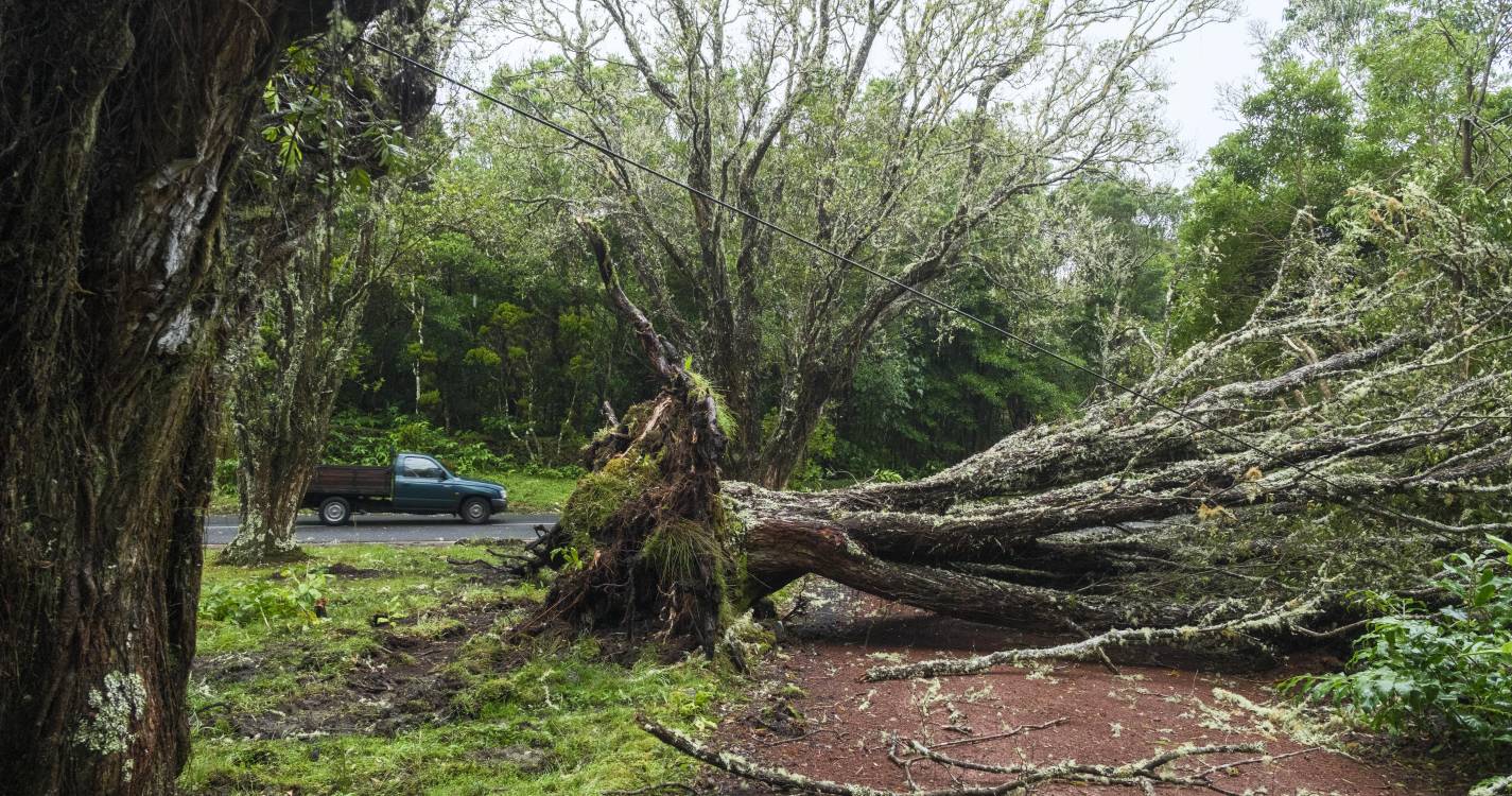 Proteção Civil avisa para chuva, vento e mar fortes no continente devido ao ciclone Gabrielle