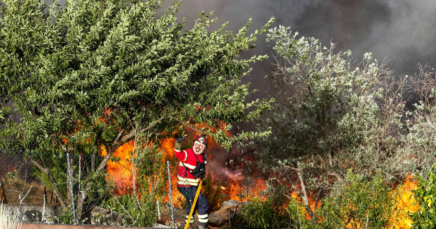 Incêndios: Fogos já consumiram mais de 172 mil hectares este ano, 32 mil entre sábado e domingo