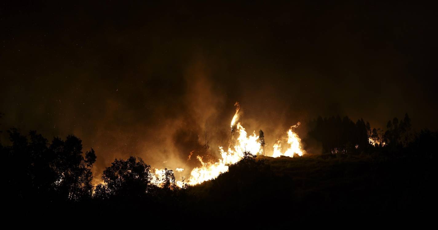 Incêndios: Parlamento prepara-se para debate depois de 250 mil hectares de área ardida