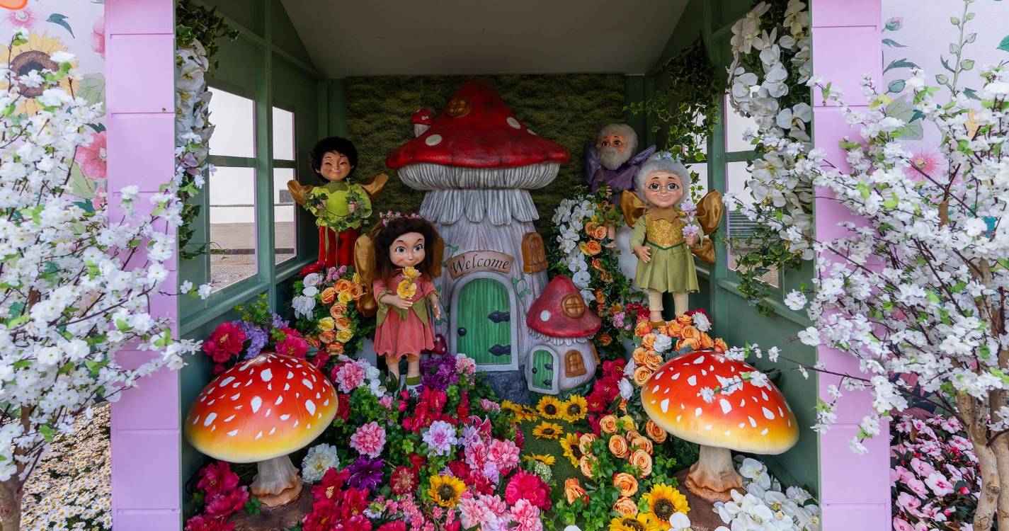 Santa Cruz em Flor encerra com 121 figurantes e carros clássicos