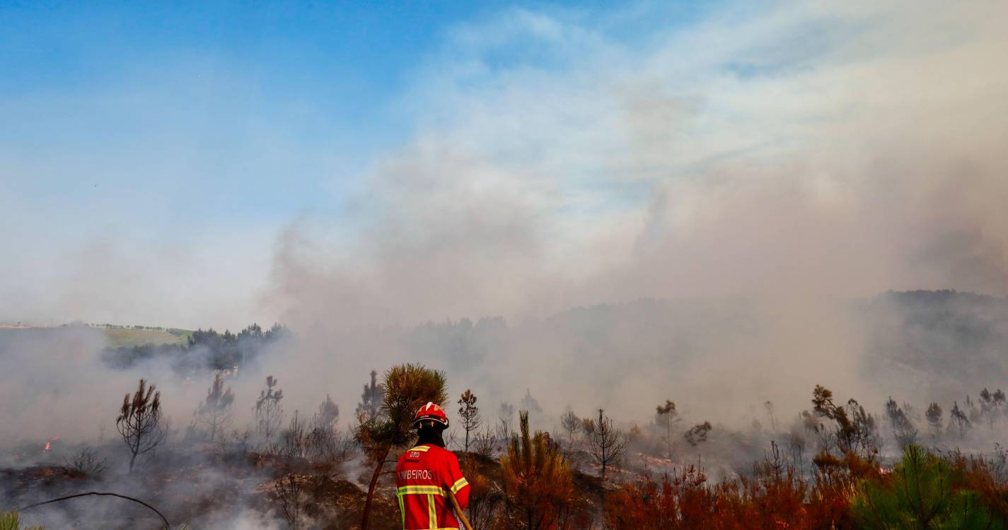 Incêndios: Nova frente de fogo com origem em Seia atinge Covilhã