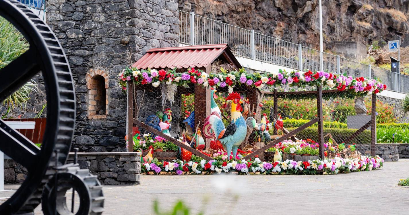 Festa da Flor: Câmara da Calheta cria Mural da Esperança
