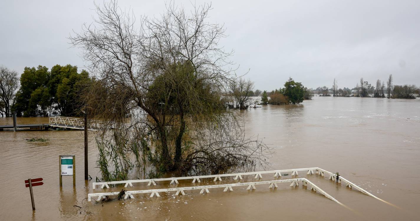 Academia do Bacalhau Mãe apoia vítimas das cheias