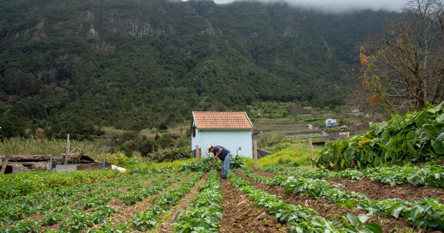 Perdidos e Achados: Nos Lamaceiros o ‘deserto’ é verde (com fotos)