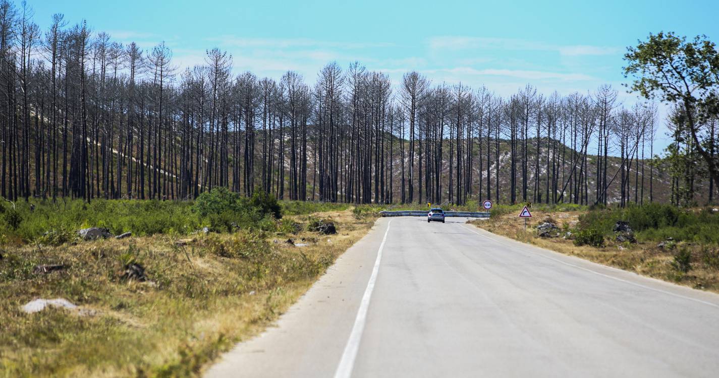Incêndios: Associação de pirotecnia ameaça Governo com pedido de indemnização