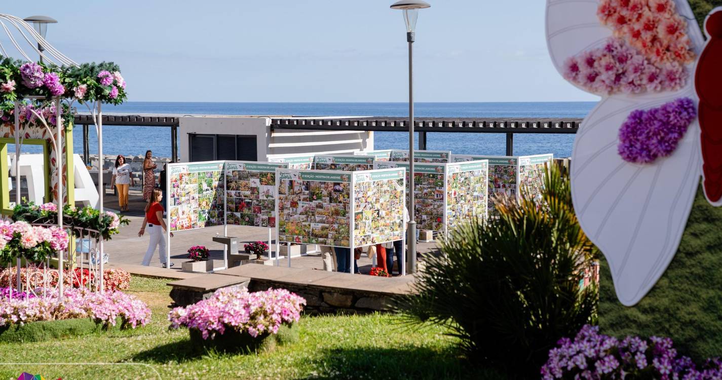 Mais de 50 jardins patentes em mostra inaugurada na Calheta (com fotos)