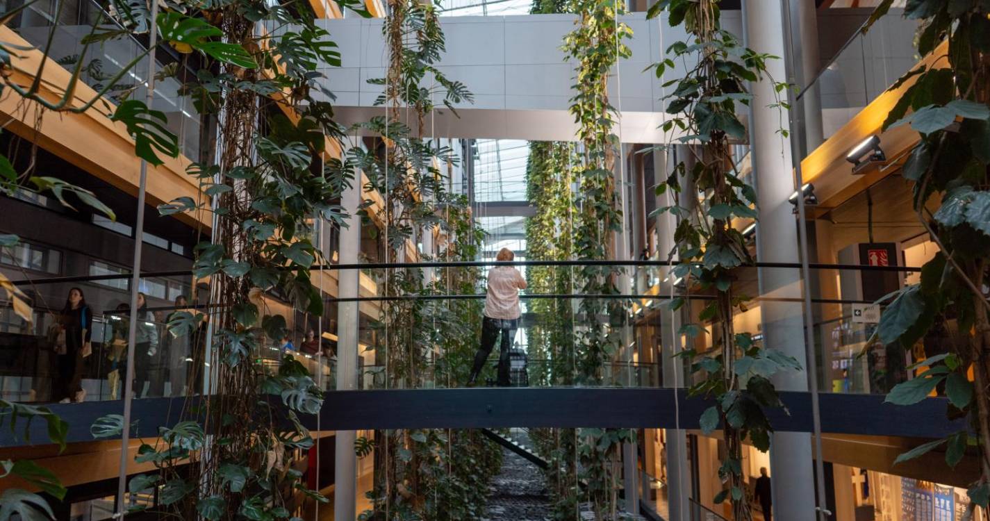 Parlamento Europeu: Estrasburgo segue a todo o gás no penúltimo dia de sessão plenária (com fotos)