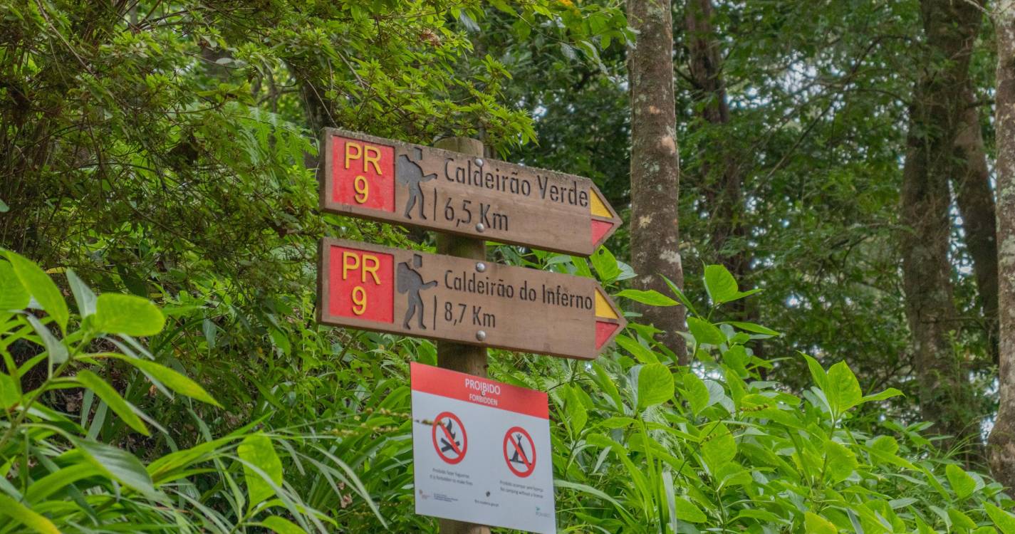 Resgatado turista ferido em queda na Levada do Caldeirão Verde