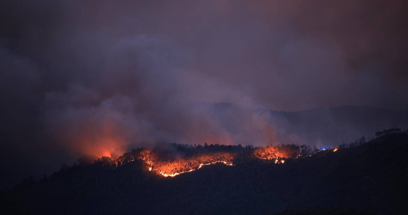 Incêndios: Proteção Civil registou hoje 69 ocorrências e reavalia quarta-feira estado de alerta