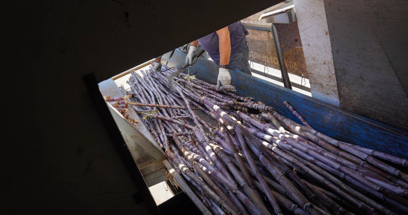 Fábrica do Ribeiro Seco dá conta dos novos preços da cana-de-açúcar