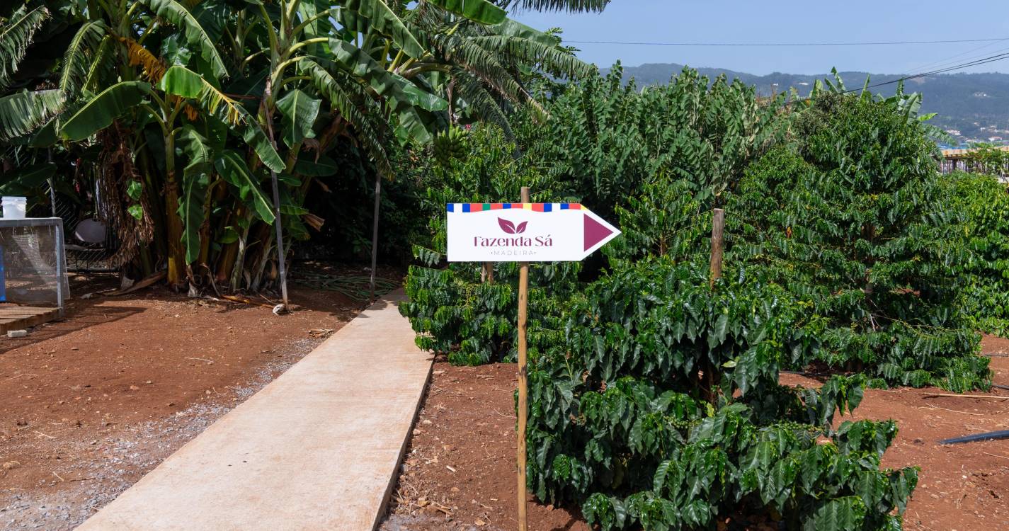 ‘Fazenda Sá’ oficialmente inaugurada em novembro