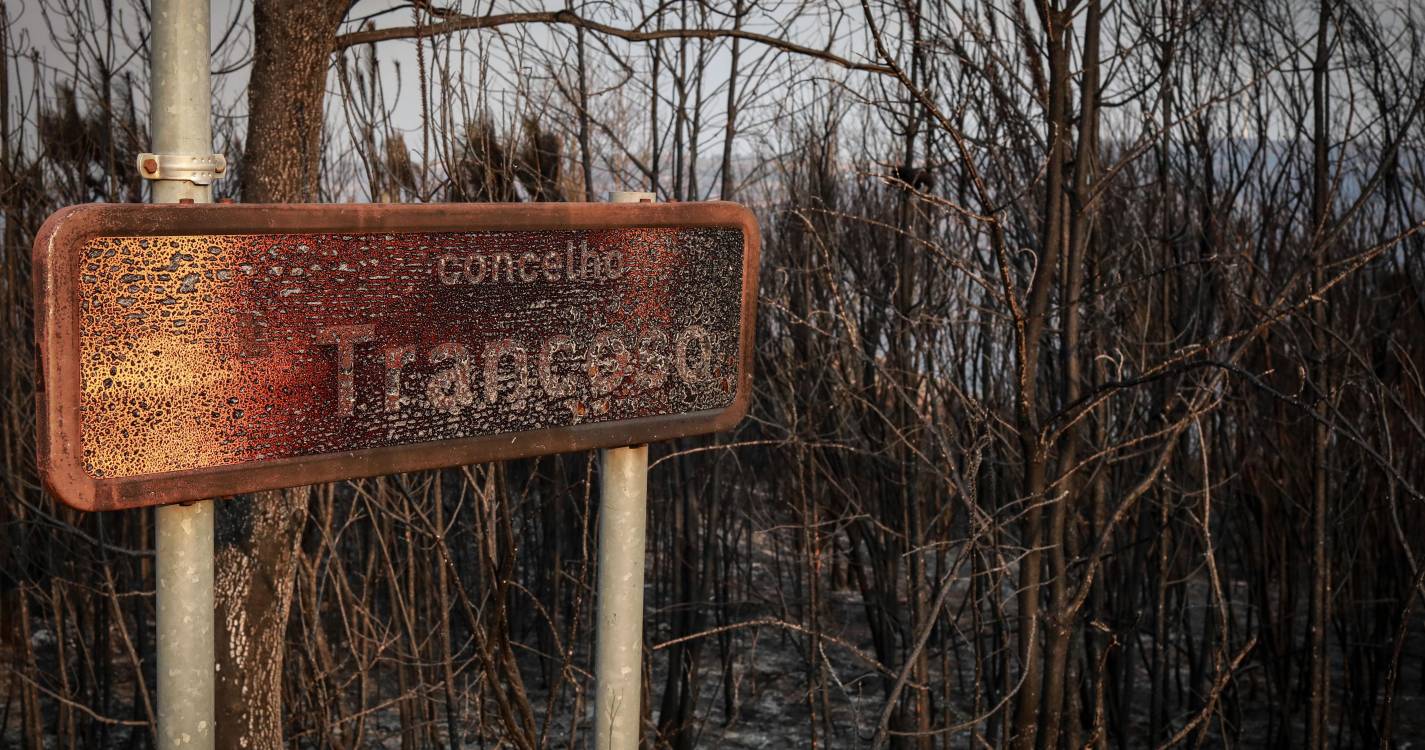 Incêndios: Fogos consumiram este ano cerca de 75.000 hectares