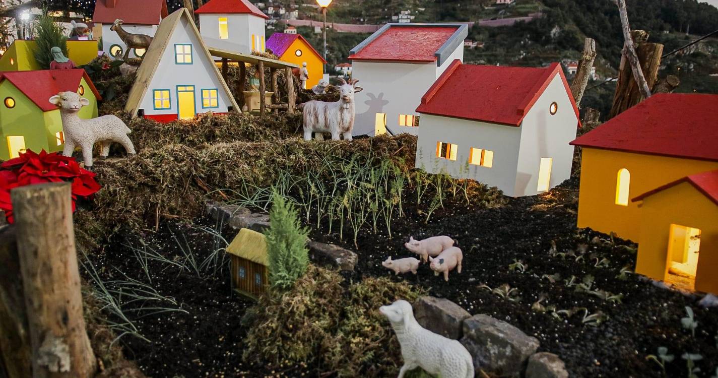 Presépio da Quinta Grande abençoado (com fotos)