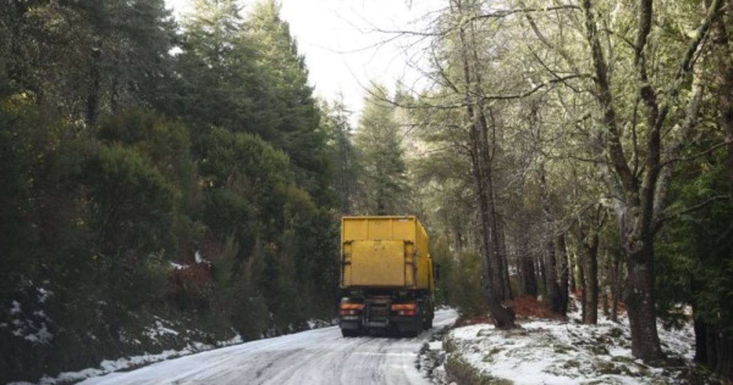 Neve está de volta às zonas altas da Madeira (com fotos)